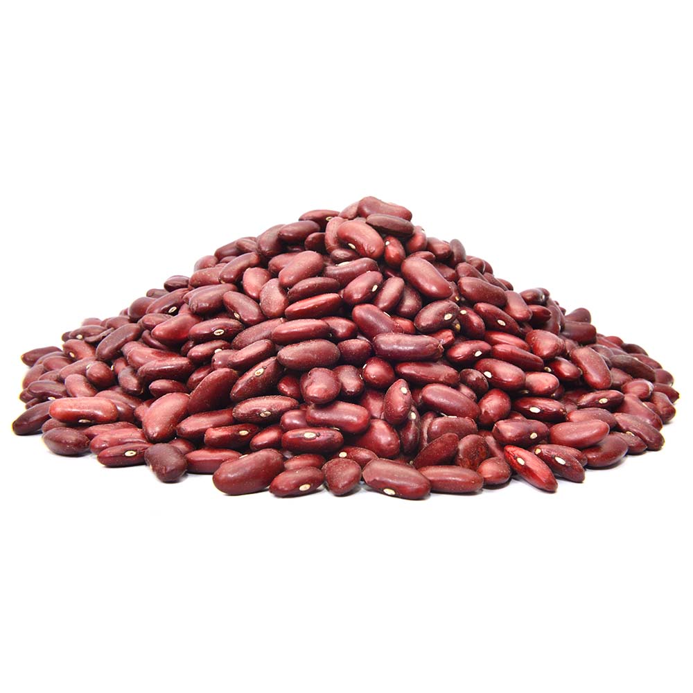 RED LOBIA (سرخ لوبیا)