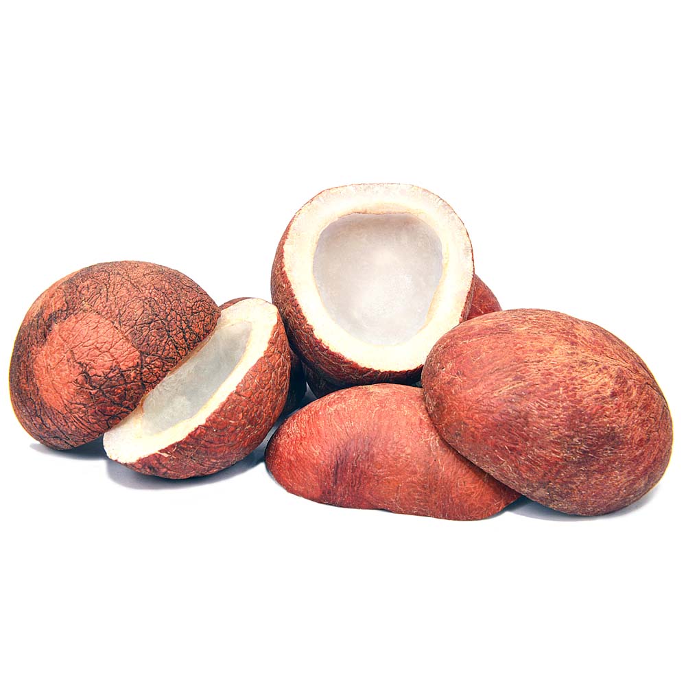 COCONUT WHOLE (ناریل ثابت)